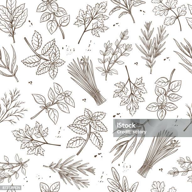 Seamless Pattern Herbs Stock Illustration - Download Image Now - Pattern, Spice, Herb