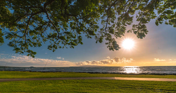 istock Fishing Rods seen through Tree Branches at Sunset, Kalama Park, Maui 873743480