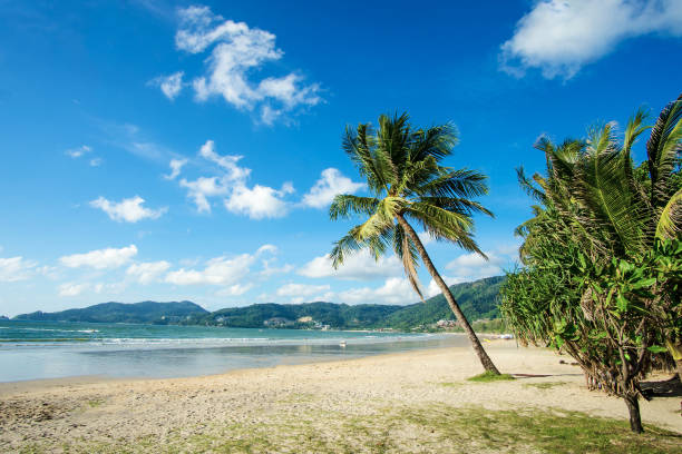 istock Beautiful Patong beach, Phuket island, Thailand. 873747220