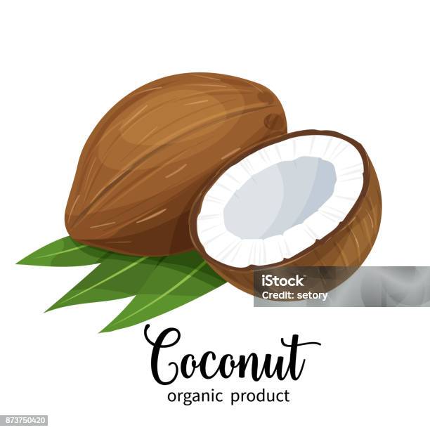Coconut In Cartoon Style Stock Illustration - Download Image Now - Coconut, Illustration, Vector