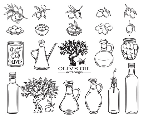 Set Vector hand drawn olives, tree branches, glass bottle, jug , metal dispenser and olive oil. Illustration outline in retro sketch style.