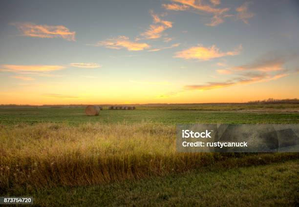 Sunset On Prairie Field Stock Photo - Download Image Now - Agricultural Field, Open, Opening