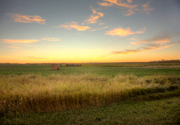 pôr do sol no campo de pradaria - alberta prairie farm fence - fotografias e filmes do acervo