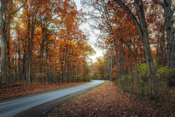 Colorful Autumn Drive stock photo