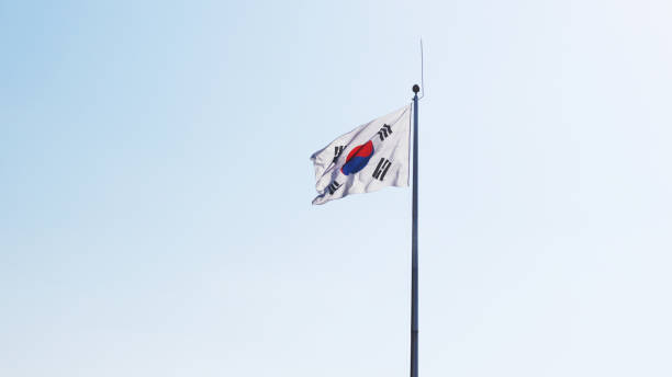 istock The Korean flag is flying in the wind. 873757890