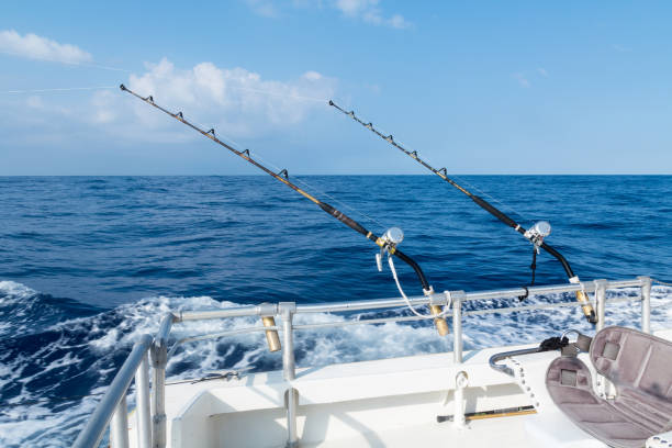 pesca sportiva d'altura con canne e mulinelli - pesca daltura foto e immagini stock