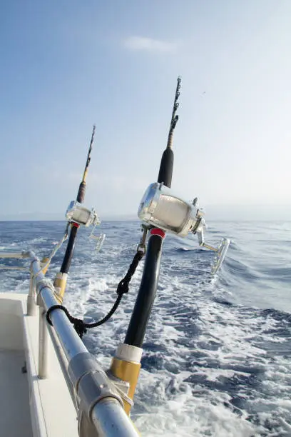 Photo of Two fishing rigs tethered to rail