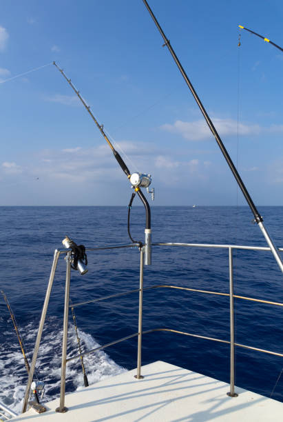 istock Fishing rods on upper and lower  deck of boat 873760902