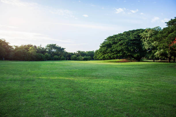 istock Lawn with sky in the evening. 873768668