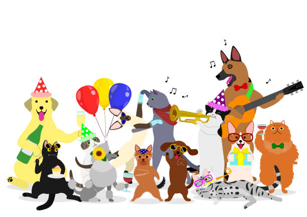 illustrazioni stock, clip art, cartoni animati e icone di tendenza di gruppo di cani e gatti partito - dog group of animals clothing animal