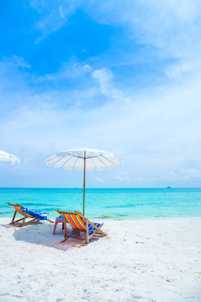 istock Sun loungers and beach umbrellas on the beach. 873779738