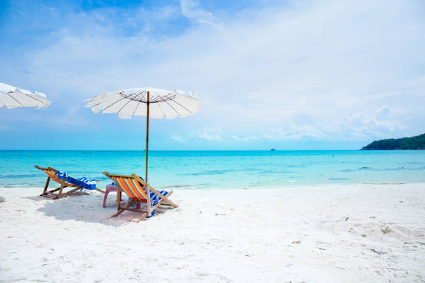 istock Sun loungers and beach umbrellas on the beach. 873779740