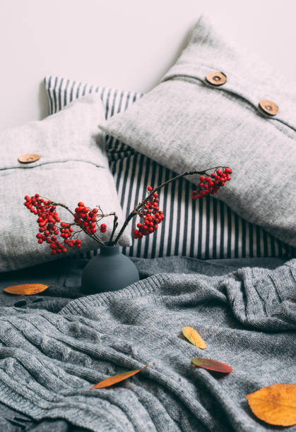 istock Warm knitted sweater, pillows and rowan berry. Autumn concept 873779902