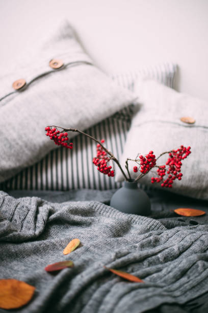 istock Warm knitted sweater, pillows and rowan berry. Autumn concept 873780052