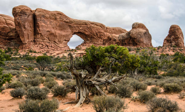 istock The Windows at Arches National Park 873780210