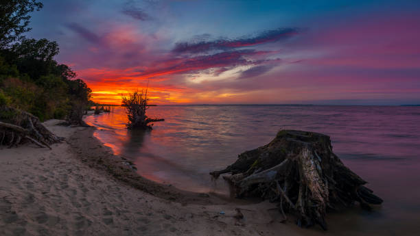 istock sunrise on the lake 873780472
