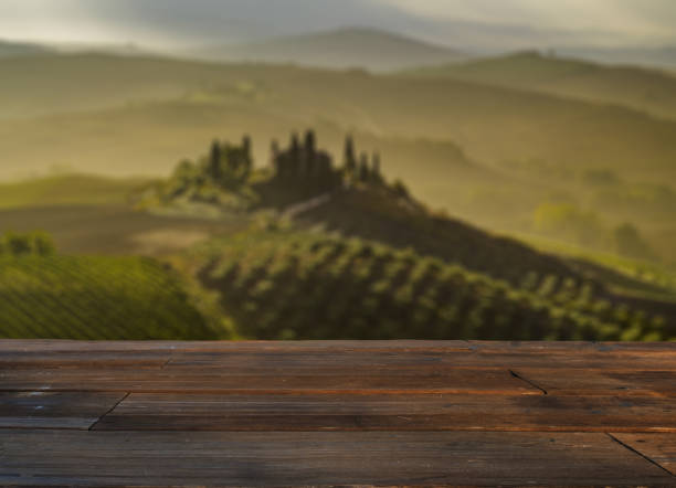 istock wood textured backgrounds on the tuscany landscape 873780920
