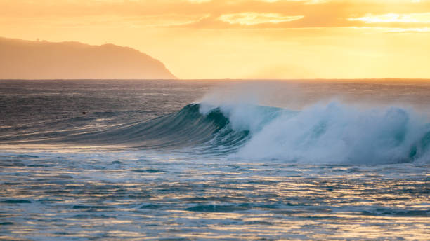 istock Sunset Seascape Banzai Pipeline 873780966
