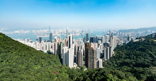 istock Hong Kong Cityscape 873786844