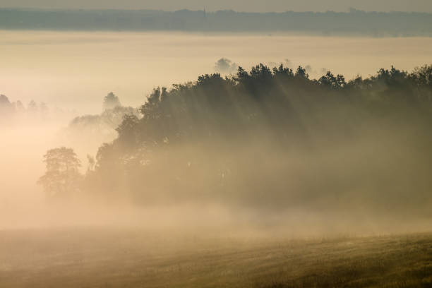 istock misty autumn morning over the valley 873787902