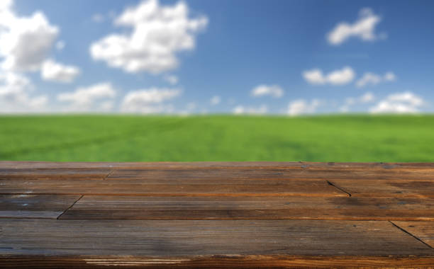 istock wooden table on the background fields of grain 873788194