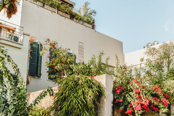 Middle east city Tel-Aviv and district Neve-Tsedek. Famous tourist place in Israel