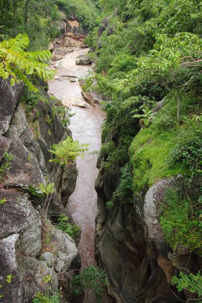 istock The fast movement of water in the forest 873794192