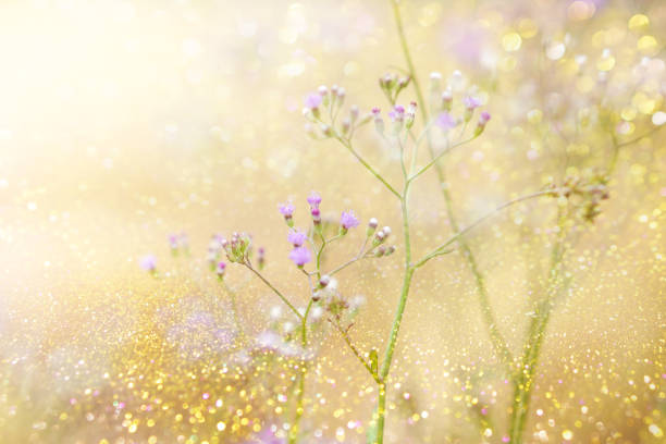 istock grass flower field in spring background with sunlight in purple pastel tone 873794812