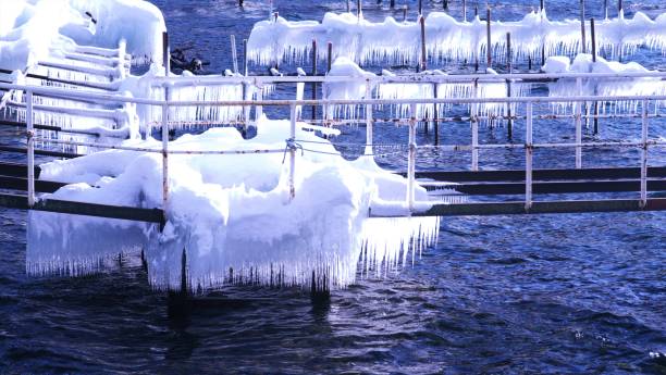 istock Marine blue of Shikotsu lake 873795976