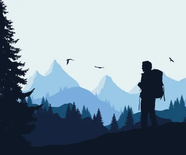 Vector illustration of Vector illustration of a mountain landscape with a forest and flying birds and a tourist under a blue-gray sky