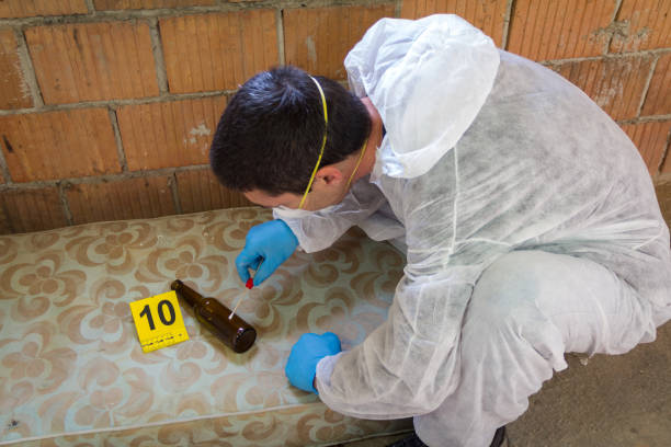 istock A forensic expert at the crime scene 873806506
