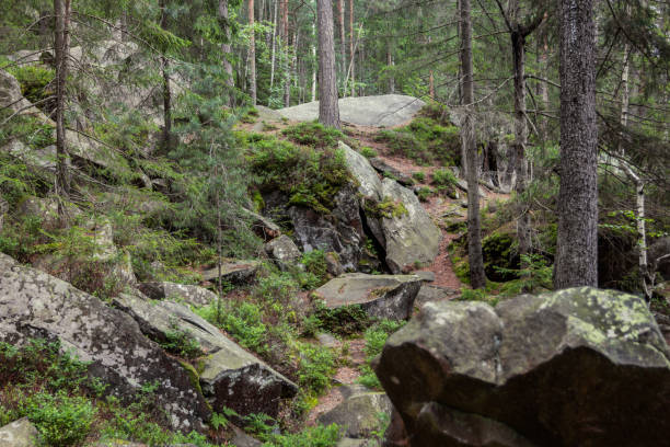 istock Huge stones in the moss in the forest. 873813860