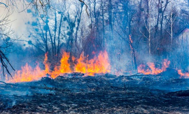istock A car and a group of firefighters extinguish the fire on a dried-up meadow 873829512