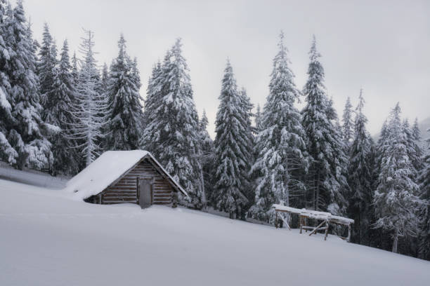 istock Fantastic landscape with snowy house 873833510