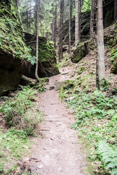 istock ravine with hiking trail and rocks around 873834236
