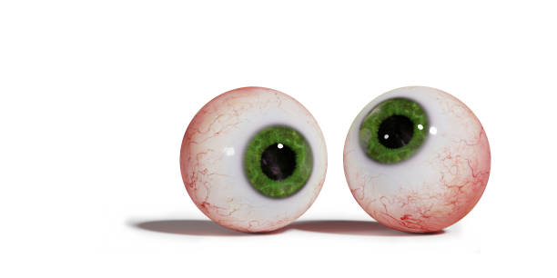 two realistic human eyeballs with green iris, isolated on white background (3d illustration) stock photo
