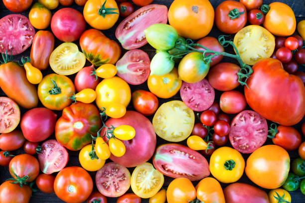 istock Colorful Tomatoes Background. Fresh Organic Tomatoes Texture. 873841778