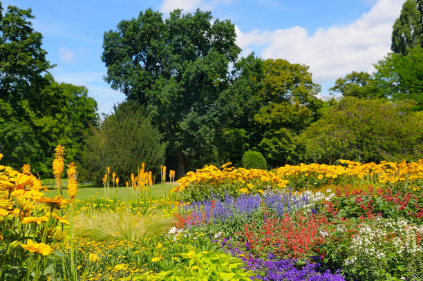 istock summer park with beautiful flower beds 873842734
