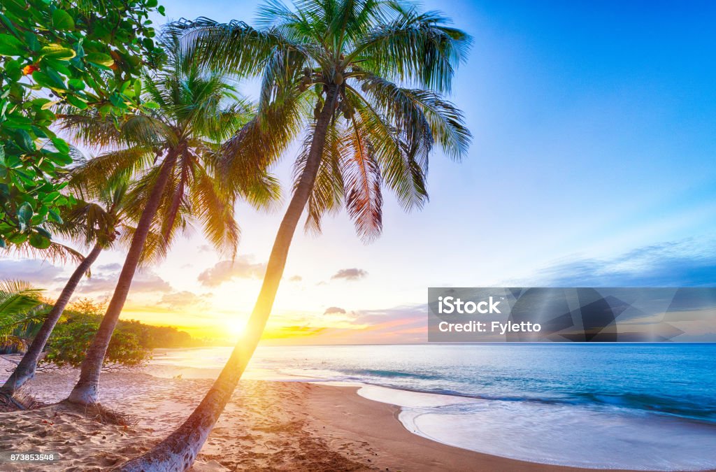 Pearl Beach Sunset over Pearl beach (Plage de la Perle) beach near Deshaies, Guadeloupe, Caribbean Caribbean Stock Photo