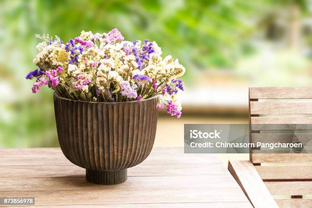 Dry Flower In Vase Stock Photo - Download Image Now - Basket, Beauty, Beauty In Nature