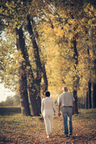 istock Senior couple enjoying autumn walk 873862306