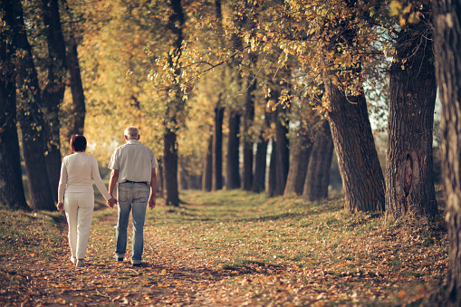 Senior couple enjoying autumn walk