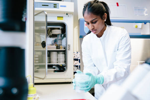 istock Young female scientist working at incubator in laboratory 873866512