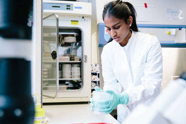Young female scientist working at incubator in laboratory Laboratory, scientist, student, women, incubator amoeba photos stock pictures, royalty-free photos & images