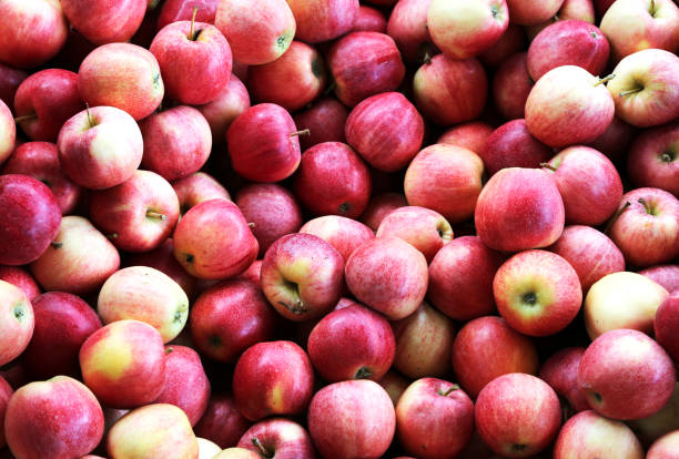 istock many red apples for sale 873874122