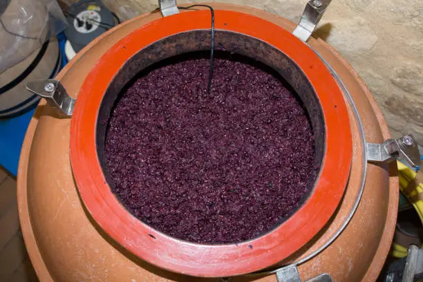 fermentation of wine in amphora modern and new concept