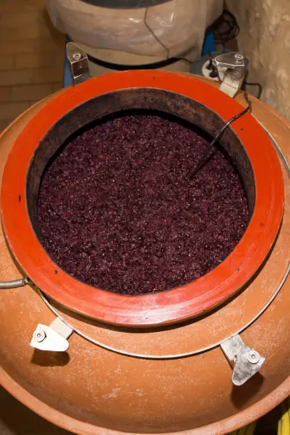 fermentation of wine in amphora in test in cellar in France Bordeaux
