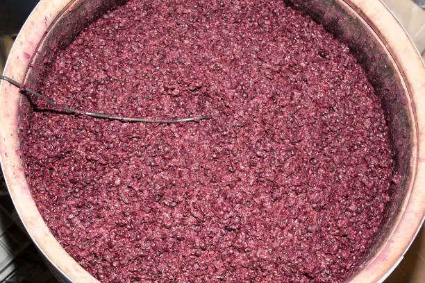 classical fermentation of wine in wooden barrels with electric heating of the liquid