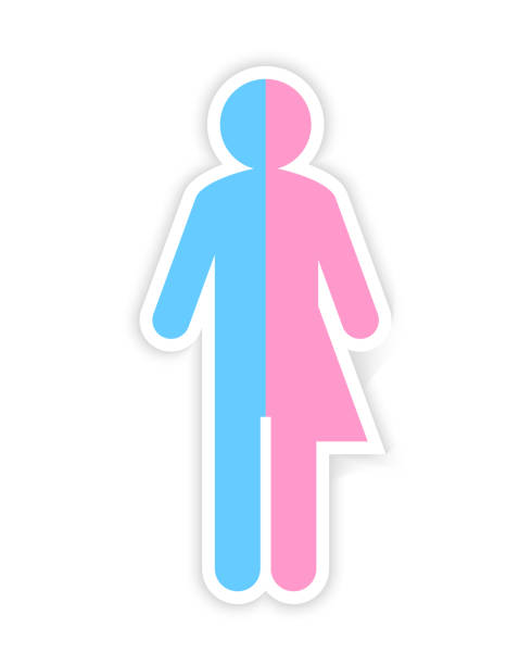 Third gender and sex concept made of male and female silhouette Genderblend concept made of male and female symbol in blue and pink color gender change stock illustrations