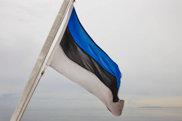 istock Estonian flag waving at dawn. European state. 873881610